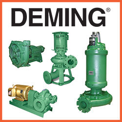 Demin Pumps